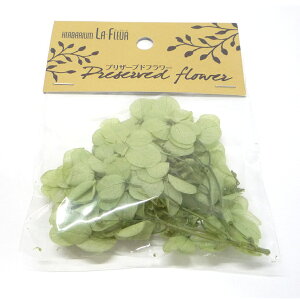 n[oE AWTC O[ 1.5g 2܃pbN