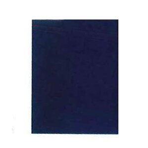 【最大29倍×お買い物マラソン SPU 要エントリー 10/24 20:00 〜 10/27 9:59】 書道用 下敷き 1mm厚 書楽 紺 半切判