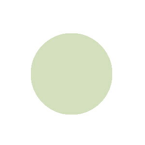 RsbN RsbN`I G82 Spring Dim Green