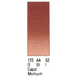 WinsorNewton vtFbVi EH[^[J[ n[tp 125 Lvg[^oCIbg