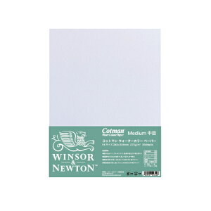 WinsorNewton Rbg}ʎ F4  243×334mm 30