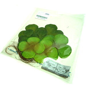 yލՂ聚ő30{×N[|L SPU vGg[ 11/1 00:00 ` 11/3 23:59z J}Lh N[o[[t