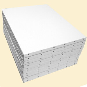 ߉  LoX F4 333×243mm 100  ʁEANp ˖ؘg 10pbN