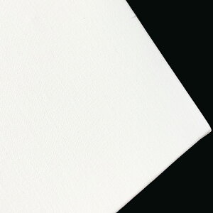 LoX CF zCg ȉ@a F4 (333×243mm) ˖ؘg ANEʉp