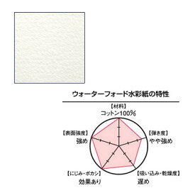 WATERFORD ウォーターフォード 水彩紙 1/4 (190g) ナチュラル 中目 380×280mm 2枚入り