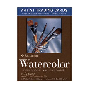 ATC A[eBXg g[fBOJ[h No.105-904 EH[^[J[ 300g