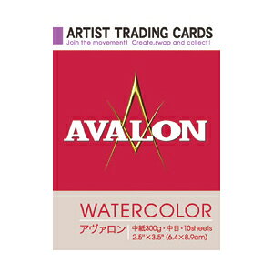 ATC A[eBXg g[fBOJ[h A@ 300g 