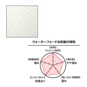 yő30{×ubNtCf[ SPU vGg[ 11/20 20:00 ` 11/27 1:59z WATERFORD EH[^[tH[h ʎ 1/4 (190g) i` r 380×280mm 2