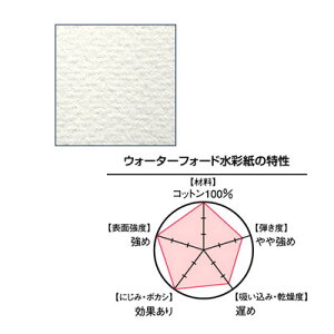 yő30{×ubNtCf[ SPU vGg[ 11/20 20:00 ` 11/27 1:59z WATERFORD EH[^[tH[h ʎ 1/8 (300g) i` r 280×190mm 4