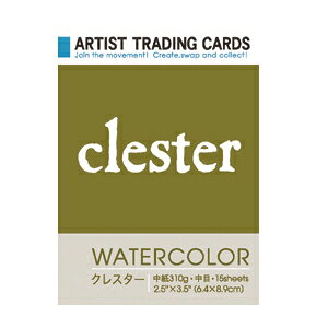 ATC A[eBXg g[fBOJ[h NX^[ 310g 