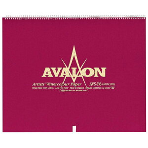AVALON A@ ʎ Rbg100 300g/m2  XvO F6 (410×318mm) 12Ƃ AVS-F6