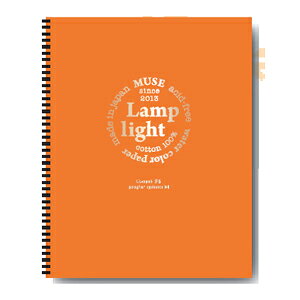 Rbg100Yʎ vCg ubN 300g (13ԂE{^ERt) F6