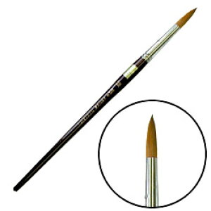 ���� �����i�C�������� ���ʕM DXR (��) No.12