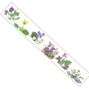 yލՂ聚ő30{×N[|L SPU vGg[ 11/1 00:00 ` 11/3 23:59z SAIEN ʉ }XLOe[v {^jJA[g X~ 38mm×5m GR-0029