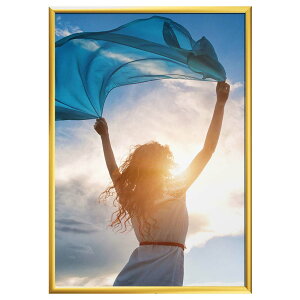 yő29{×}\ SPU vGg[ 10/24 20:00 ` 10/27 9:59z |X^[t[ SOFKEN \tP XGCg B3 S[h A~t[