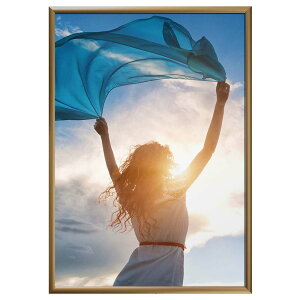 |X^[t[ SOFKEN \tP XGCg A3 uE A~t[