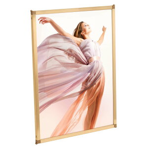 【最大29倍×お買い物マラソン SPU 要エントリー 10/24 20:00 〜 10/27 9:59】 ポスターフレーム SOFKEN ソフケン マルチパネル A2 ゴールド 透明板 (片面) アルミフレーム