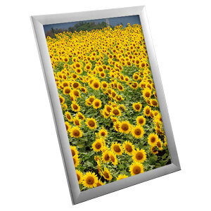 ポスターフレーム SOFKEN ソフケン ワイド30 B3 シルバー アルミフレーム