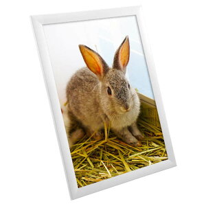 |X^[t[ SOFKEN \tP Ch30 B3 zCg A~t[