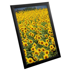 ポスターフレーム SOFKEN ソフケン ワイド30 B3 ブラック アルミフレーム