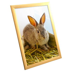 ポスターフレーム SOFKEN ソフケン ワイド30 B3 ゴールド アルミフレーム