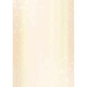 OA�a�� A4 �� 30��