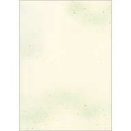 OA和紙 料紙シリーズ A4判（70g/m2） 若菜 1袋30枚入 【最大29倍×お買い物マラソン SPU 要エントリー 5/…