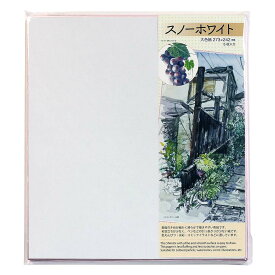 楽天市場 色紙 水彩の通販