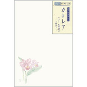 花の紀行 はがき カトレア ※1袋10枚入り
