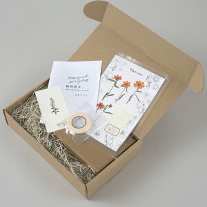 {^jJfBXvC AW{ _uKXt[Lbg lAX