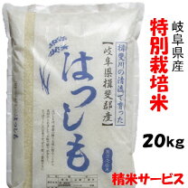 楽天市場】岐阜県 ハツシモ 30kgの通販