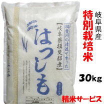 楽天市場】岐阜県 ハツシモ 30kgの通販
