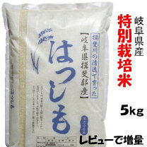 楽天市場】岐阜県 ハツシモ 2kgの通販