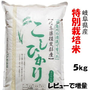 令和7年産【特別栽培米】岐阜県産 コシヒカリ 玄米5Kg(レビューで次回増量)こしひかり