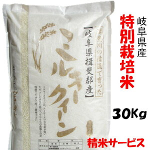 令和7年産【特別栽培米】岐阜県産ミルキークイーン 玄米30Kg(10Kg×3)(分搗き可) 白鳥ファーム【送料無料】北海道/沖縄/離島は追加送料