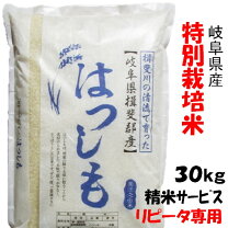楽天市場】岐阜県 ハツシモ 30kgの通販