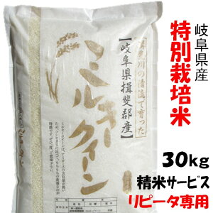 ys[^pzߘa7NYyʍ͔|āz򕌌Y~L[NC[ 30Kgi10Kg×3jăT[rXyzkC//͒ǉit@[j