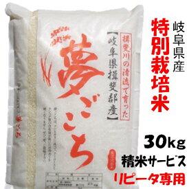 楽天市場 夢ごこち 10kgの通販 楽天市場 夢ごこち 10kgの通販