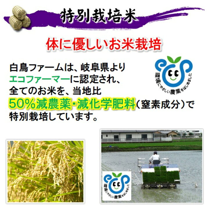 楽天市場】令和6年産【特別栽培米】岐阜県産ハツシモ 玄米20Kg（10Kg 