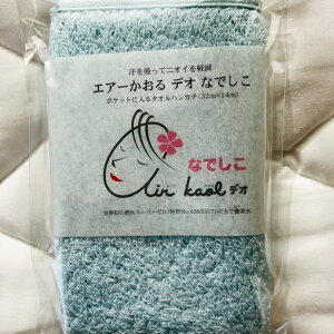 GA[@fI@Ȃł@z@@|PbgTCY