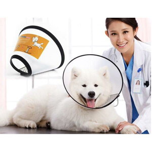 GUxXJ[ L y \tg^Cv NA _炩 ی rߖh~yE\tgz