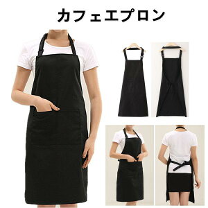 VvGv n 񂩂 R߉\ S6F jp JtFGv  h ɂ  ƒp dp fނ VɂȂɂ