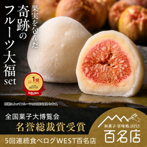 【夢菓房たから】フルーツ大福 食べログ百名店受賞 送料無料 いちご大福 詰め合わせ ギフト 冷蔵 スイーツ 和菓子 誕生