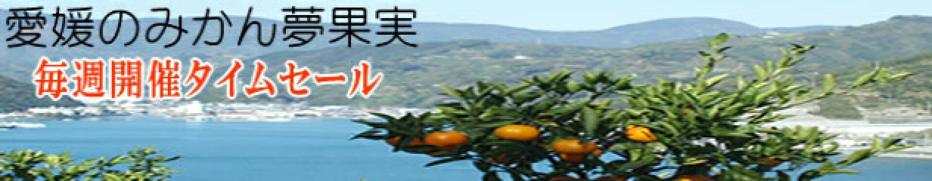 愛媛のみかん夢果実