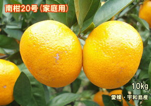 yz󂠂/ƒp݂10kg(승20)Q݂ gc݂ysmtb-KDz