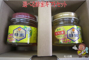 yMtgzy ݂͂ ZbgzIׂIMtgZbg300g×2yzyΕzyFa{Izysmtb-kdz