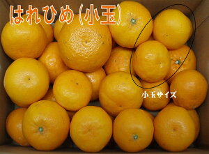 yz󂠂͂Ђ()5kgysmtb-kdz