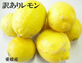 【送料無料】訳あり国産レモン5kg【愛媛県産】低農薬/国産/レモン/安心【smtb-kd】