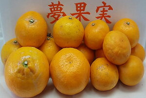 y󏭊kzyz󂠂͂Ђ5kgylCzQ݂ gc݂ysmtb-kdz