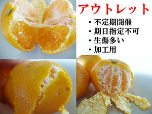 AEgbgZ[y̔zyz󂠂݂9kgysmtb-kdzywsz